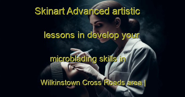 Skinart Advanced artistic lessons in develop your microblading skills in Wilkinstown Cross Roads area | MicrobladingTraining | MicrobladingClasses | SkinartTraining-Ireland